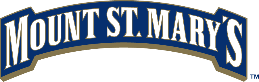 Mount St. Marys Mountaineers 2006-2016 Wordmark Logo t shirts iron on transfers